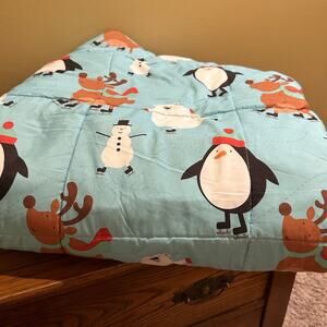 Bedding - Living Quarters Queen Size Winter Comforter & 4 Pillow Cases